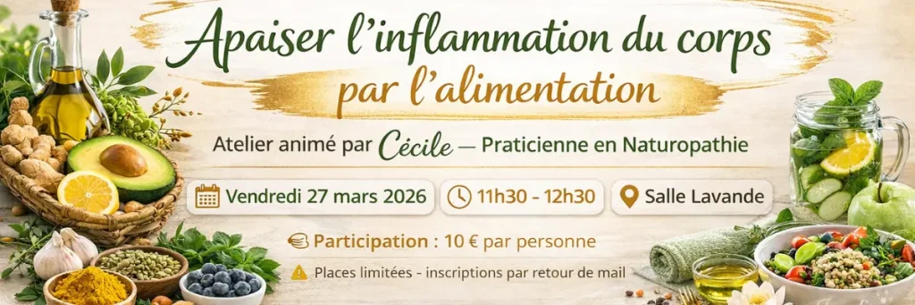 Bannière mail atelier inflammation et alimentation du BTAR de Flayosc inflammation et alimentation réalisée par Le Fil d’Or